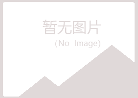 石河子迎夏咨询有限公司